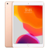 Apple iPad 10.2 Tablet