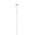 Foxconn iPhone Cable