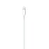 Foxconn iPhone Cable