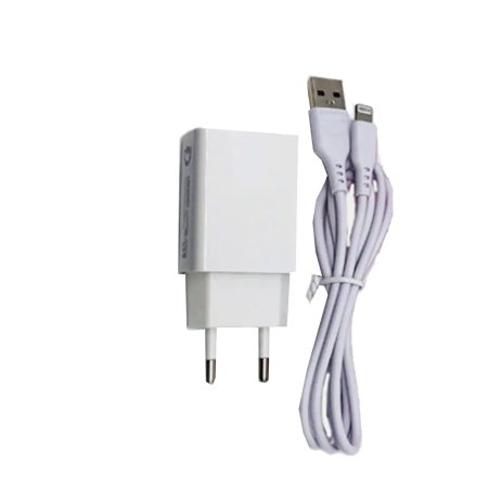 Charging head With Cable IP Denmen DC01