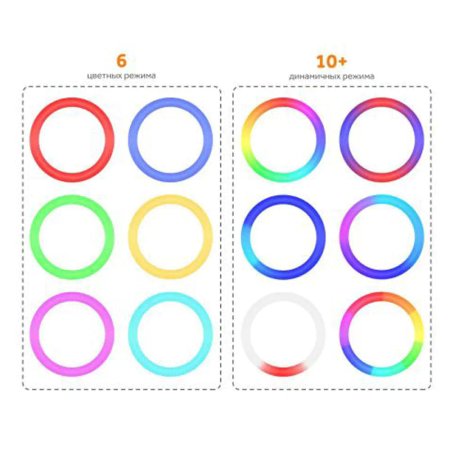 Ring Light Model YQ-310-P