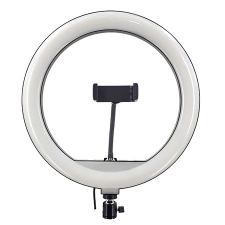 Ring Light Model YQ-310-P