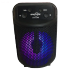 speaker GTS-1349