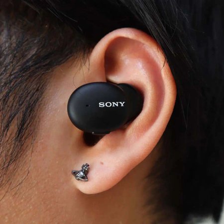 Sony WF-H800 Wireless Headphones