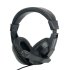 VERITY V--H25G Headset 