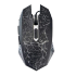 MOUSE VERITY V-MS5117G