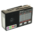 GOLON RX-8866BT Radio Portable Bluetooth Speaker