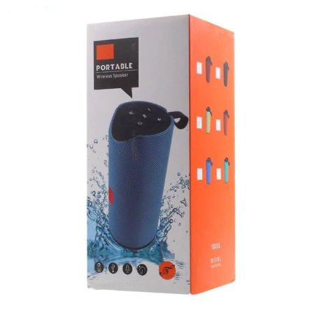 T and G Speaker TG-113