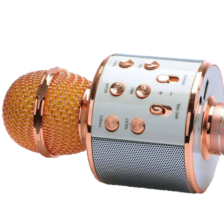 WESTER Speaker and Microphone WS-858