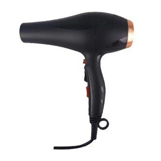 سشوار پرومکس Promax مدل Max-5570 