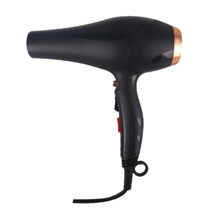  Promax Max-5570 Professional hair dryer