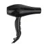  Borren BR.2046 Professional hair dryer