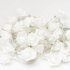 Carol CM32 White flower Strip Lights