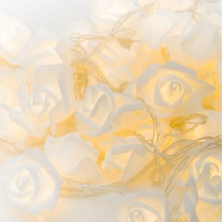 Carol CM32 White flower Strip Lights