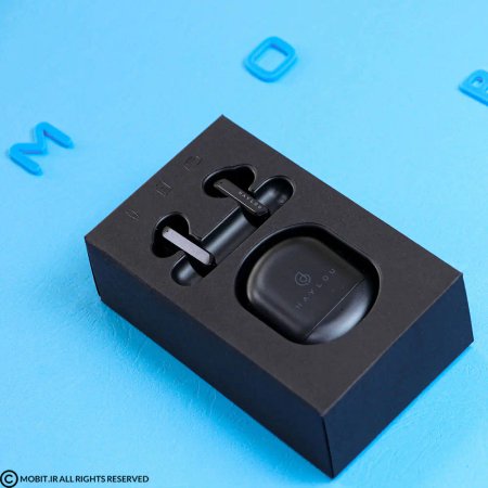 Haylou X1 Pro Wireless Earbuds