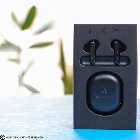 Haylou X1 Pro Wireless Earbuds
