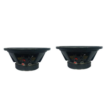 Alfex 21S car speaker
