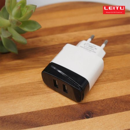 Leitu LH-8 Wall Charger With USB Type-C Cable