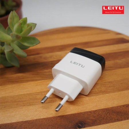 Leitu LH-8 Wall Charger With USB Type-C Cable