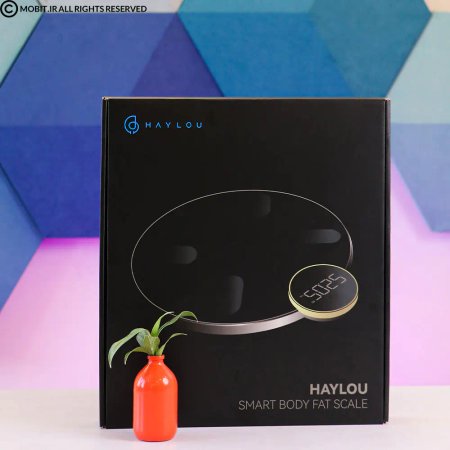 Haylou digital scale model CM01