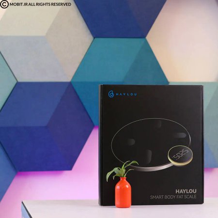 Haylou digital scale model CM01