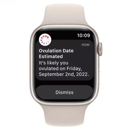 Apple Watch Series 8 45mm Aluminum