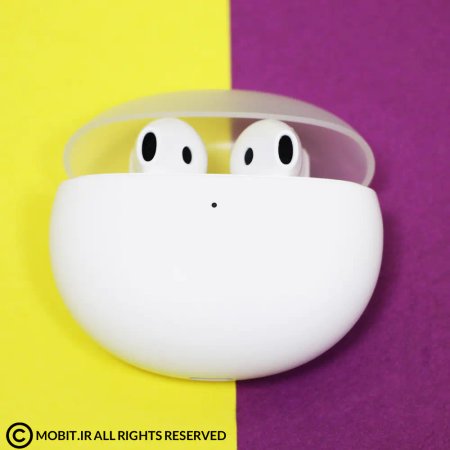 OPPO Enco Air2 True Wireless Earbuds