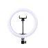  ZMX-260 Ring Light 