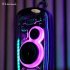 Green Lion Palma Pro GNPLPWSPKRBK Wireless Speaker