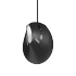 Rapoo EV200 Silent Wired Optical Mouse