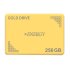 X-Energy GOLD 256GB SSD Internal Drive