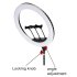 Jmary LED fixed light model FM-21R