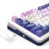 K681 ACG