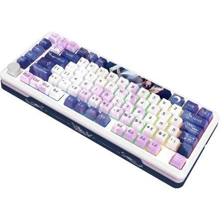 K681 ACG