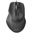 TM305