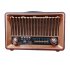 Radio spiker raiseng model R 1918 bt