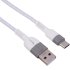 Verity CB-3161T 65W Type-C Fast Charging Cable