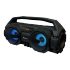 RAM and flash memory speaker VERITY model 7024