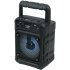Great Nice GTS 1361 Speaker