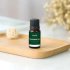 Green Lion 8 IN 1 COMBO Fragrance Set