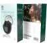 Green Lion Athens Wireless Earbuds