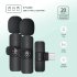 Green Lion 3 in 1 Wireless Microphone