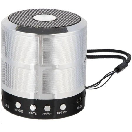 Wster WS887 Mini Speaker