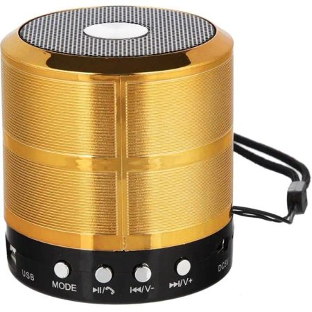 Wster WS887 Mini Speaker