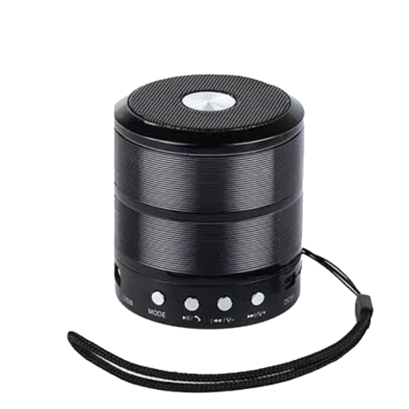 Wster WS887 Mini Speaker