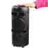 Sing-E ZQS42106 Speaker