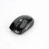 ProOne Mouse PMW50