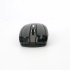 ProOne Mouse PMW50