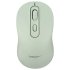 Datalife M273 wireless mouse