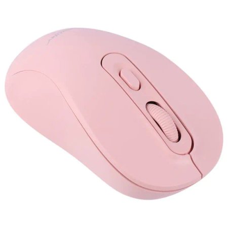 Datalife M273 wireless mouse
